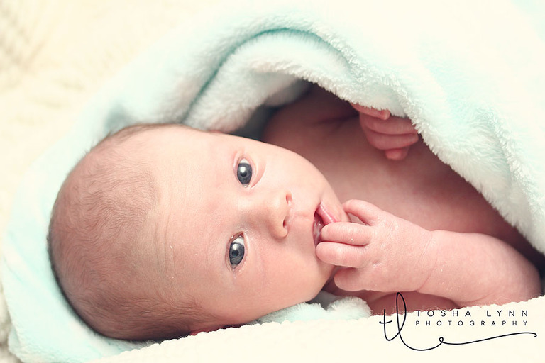 10 day old baby photography